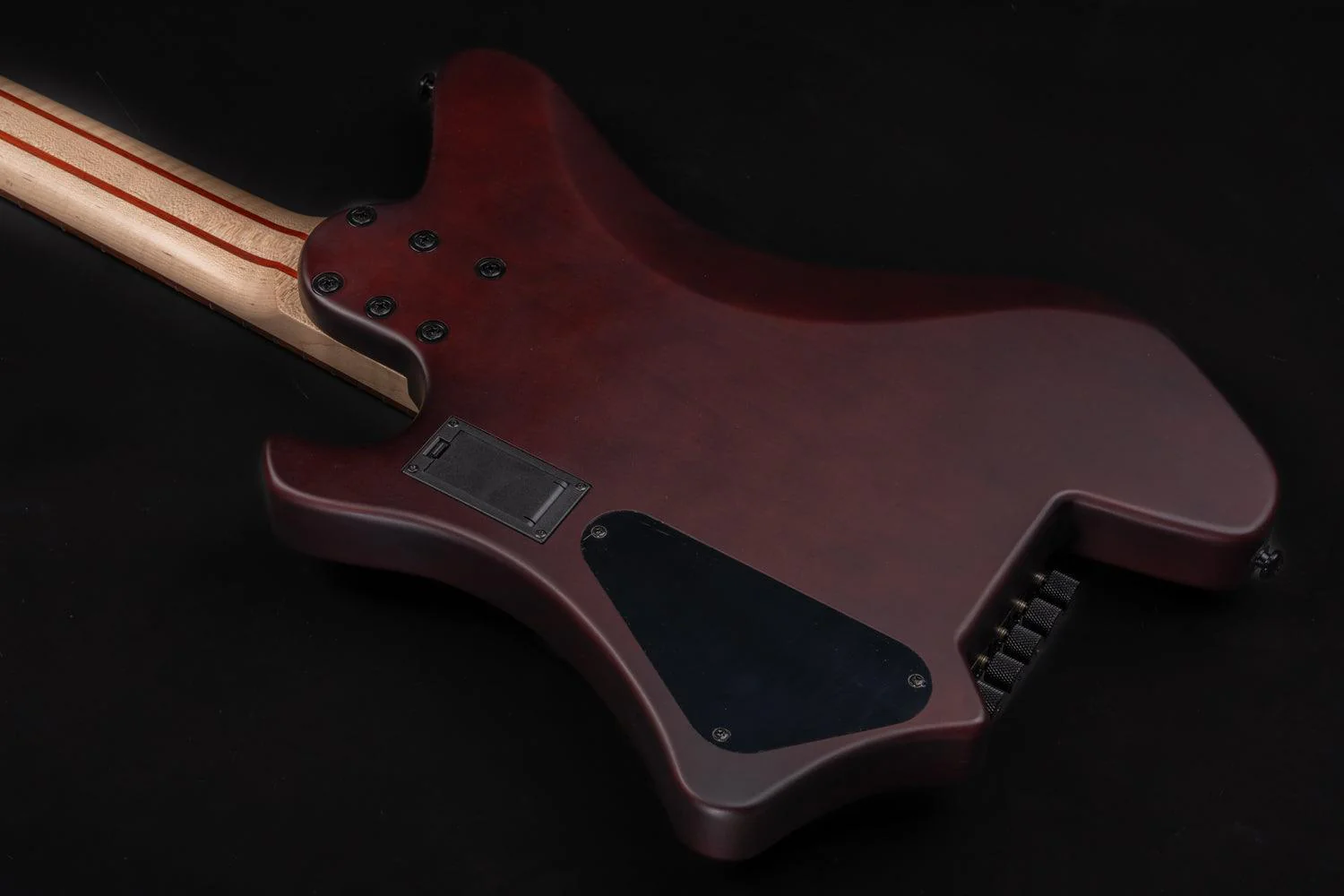 Eart Guitars, BW-5, Roasted Bookmatch Mahogany Body 5 String Bass - Image 7